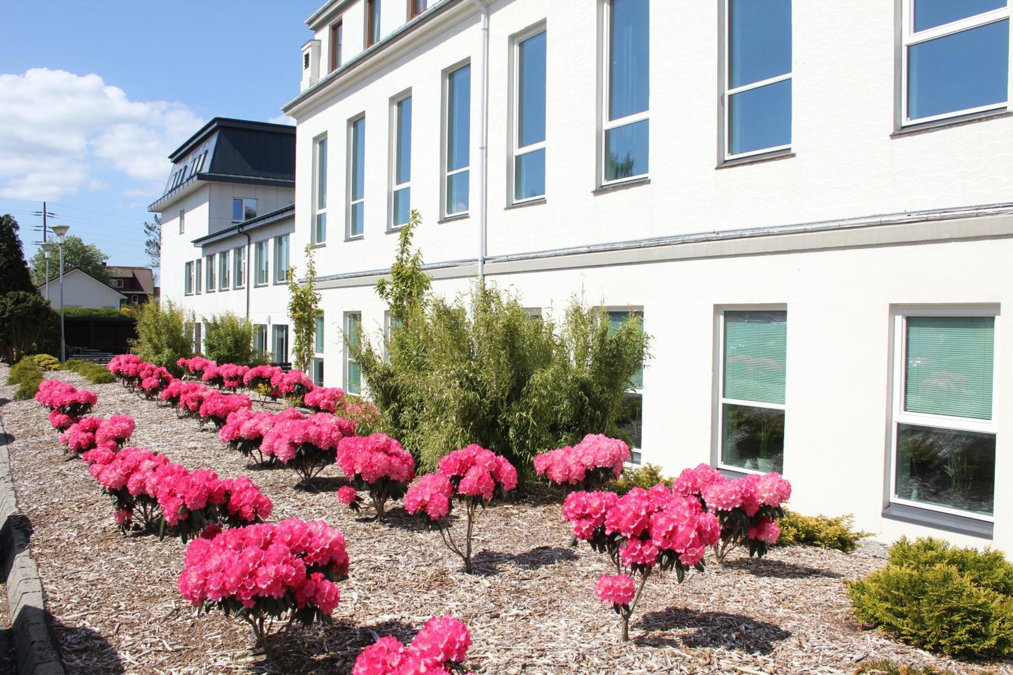 Solborg Folkehogskole Hostel ستافانجر المظهر الخارجي الصورة